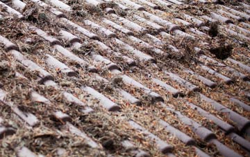 Efailnewydd roof cleaning companies